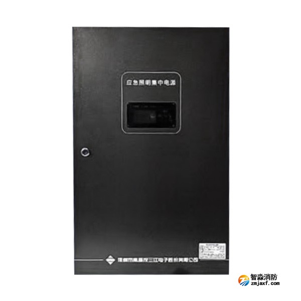 廣東海(hǎi)灣SJ-D-0.6KVA/P601AC應急照(zhào)明(míng)集中電(diàn)源 4回路(lù) 壁挂式